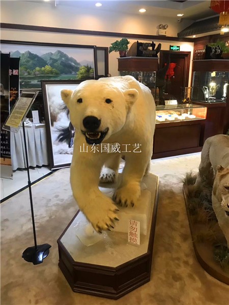 仿生北极熊标本仿真北极熊模型