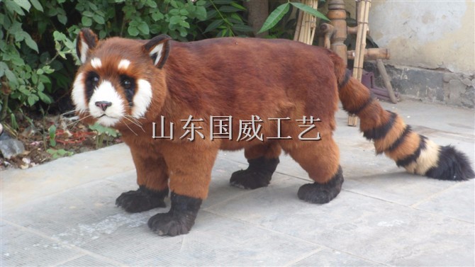 仿真小熊猫模型仿真红熊猫标本