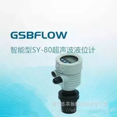 供应GSBFLOW智能型LY-80超声波液位计