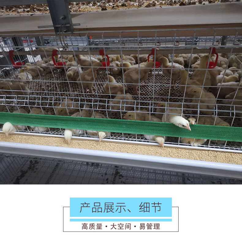 养鸡场养鸡用肉鸡笼立式鸡笼层叠鸡笼鸡笼厂家山东金石农牧机械