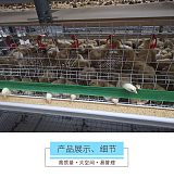 养鸡场养鸡用肉鸡笼立式鸡笼层叠鸡笼鸡笼厂家山东金石农牧机械;