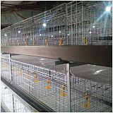 肉鸡笼鸡笼鸭笼自动化养鸡设备山东金石农牧机械;